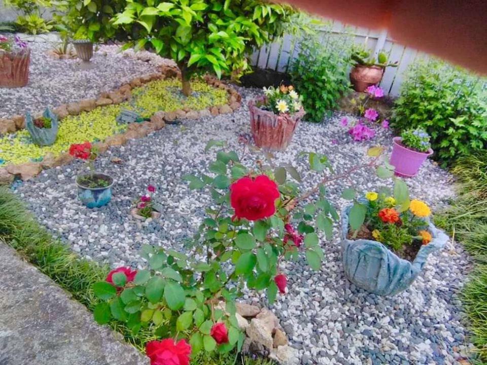 Sisi Guest House Kutaisi Bagian luar foto